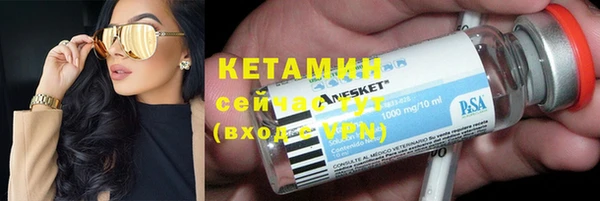 крисы Няндома