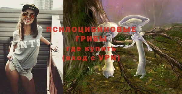 Альфа ПВП Алексеевка