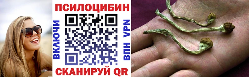 Галлюциногенные грибы MAGIC MUSHROOMS  закладки  Нижнеудинск 