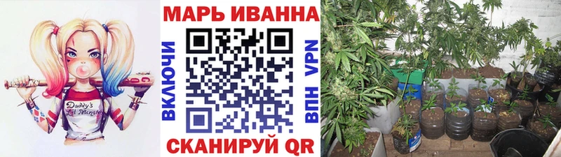 Бошки марихуана семена Нижнеудинск